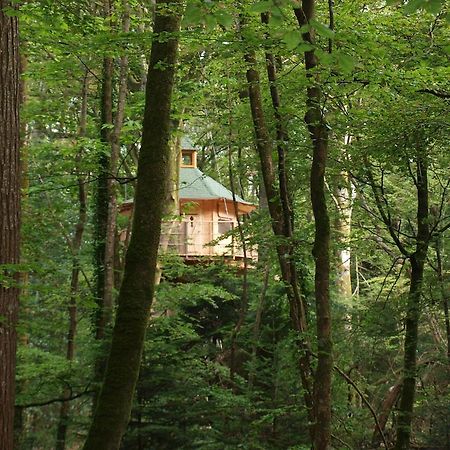 Les Cabanes De Kermenguy Cléder Quarto foto