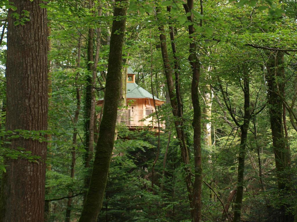 Les Cabanes De Kermenguy Cléder Quarto foto